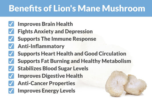 What does Lion's Mane Mushroom entail, and what mechanisms underlie its functioning?